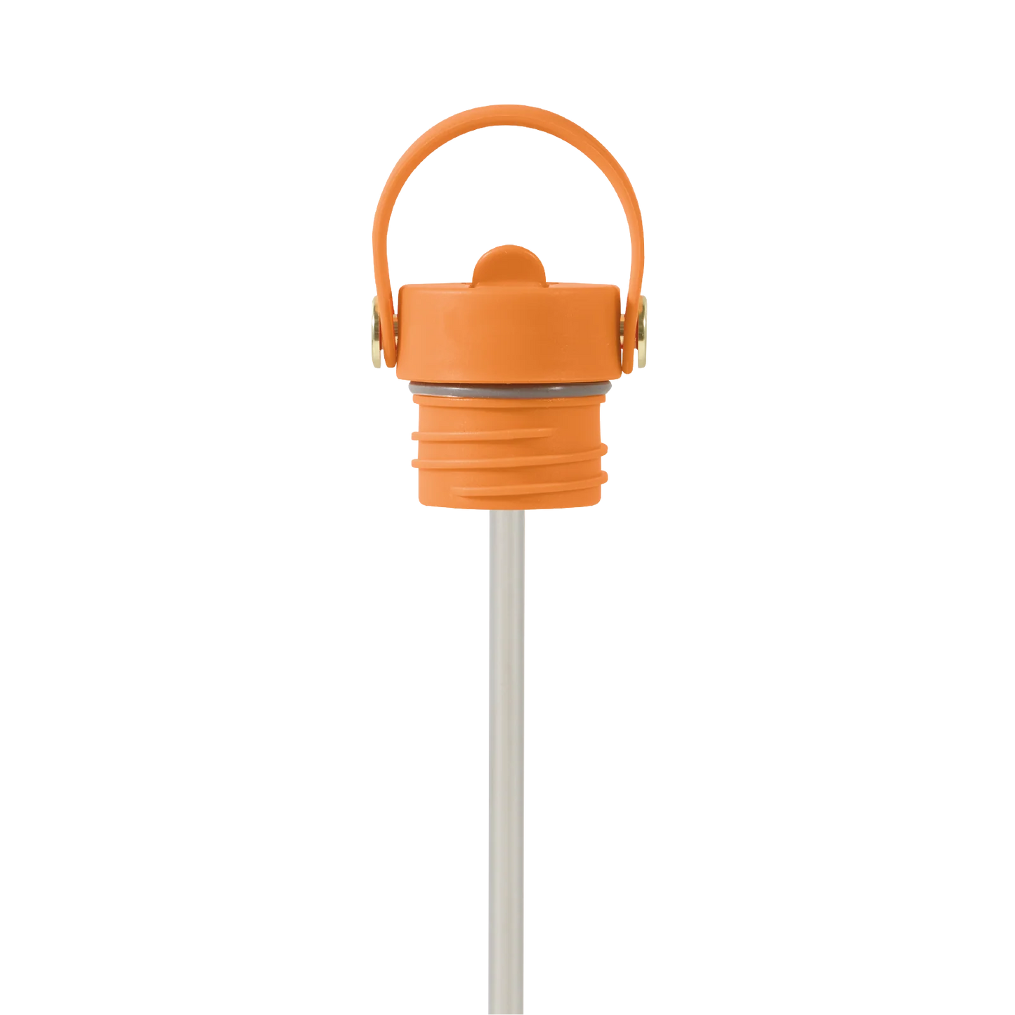 Field Bottle / Orchard Orange